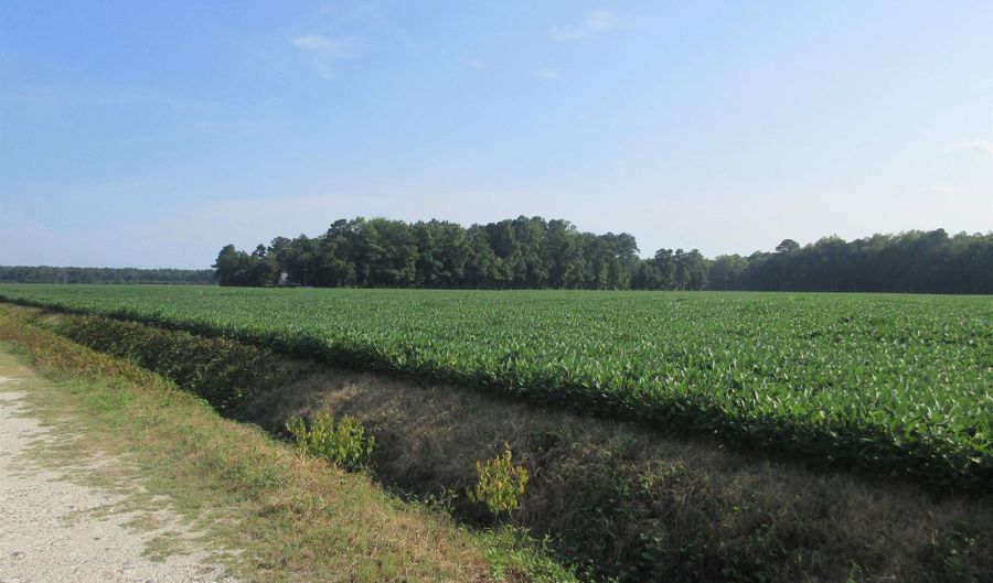 182 Will Poyner Ln, Barco, NC 27917 - 1 Beds, 1 Bath