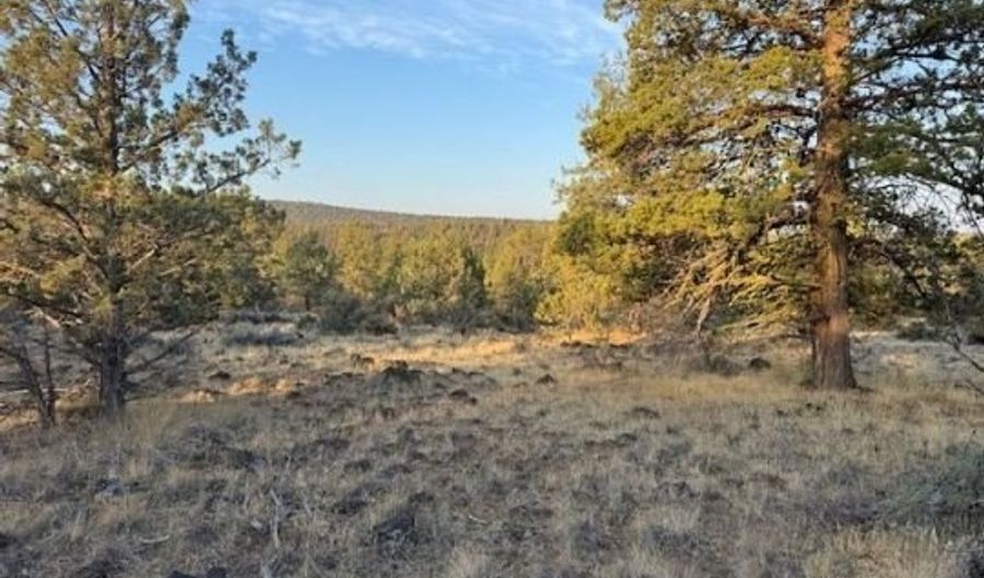 Brant Drive, Bonanza, OR 97623 - 0 Beds, 0 Bath