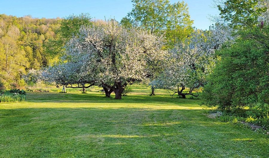 1076 NH Route 123a, Acworth, NH 03607 - 4 Beds, 1 Bath