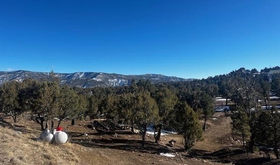 132 White Tail Pl, Arboles, CO 81121 - 0 Beds, 0 Bath