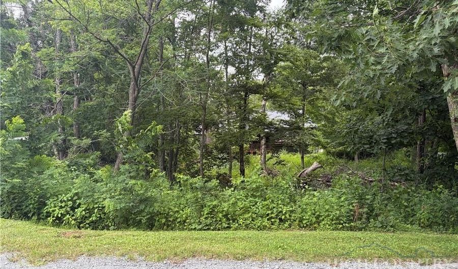 TBD Adams Apple Drive, Banner Elk, NC 28604 - 0 Beds, 0 Bath