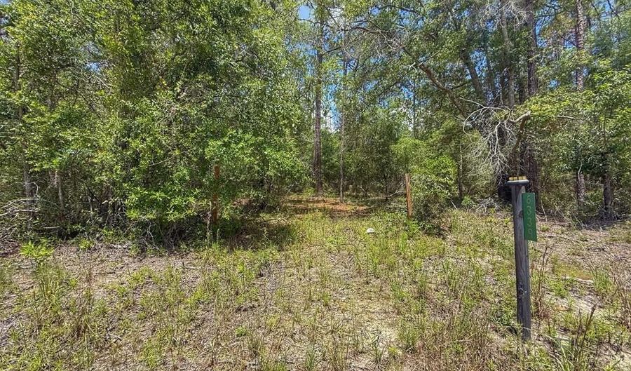 6339 NW 17th Ct, Bell, FL 32619 - 0 Beds, 0 Bath