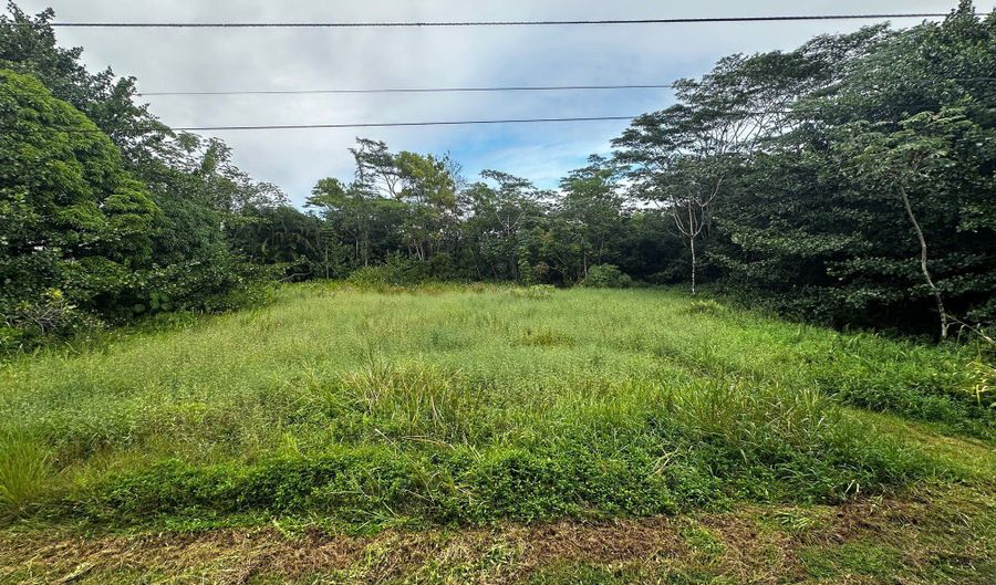 15-2005 2ND Ave Lot #: 8862, Keaau, HI 96749 - 0 Beds, 0 Bath