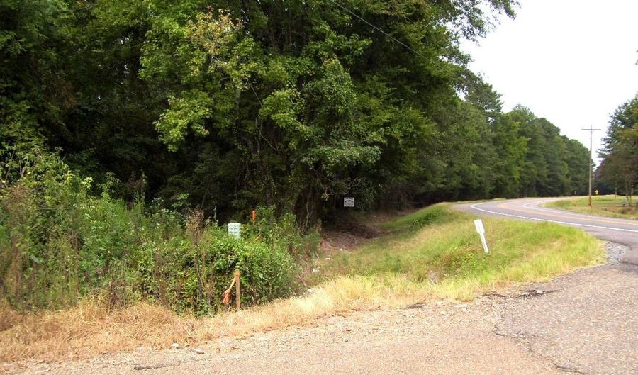 120 LR 180, Ashdown, AR 71822 - 0 Beds, 0 Bath