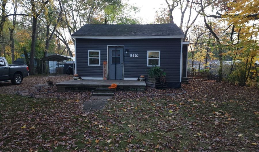 310 Lincoln St, Allegan, MI 49010 - 1 Beds, 1 Bath