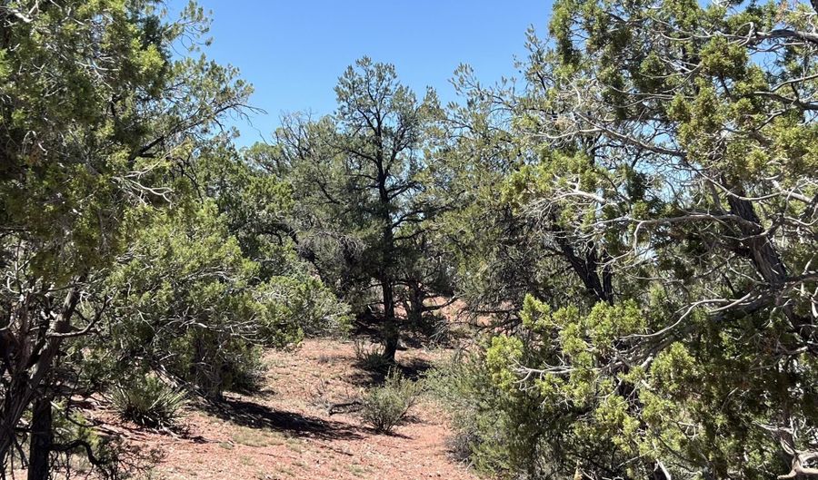201 Cathedral Valley Rd, Ash Fork, AZ 86320 - 0 Beds, 0 Bath