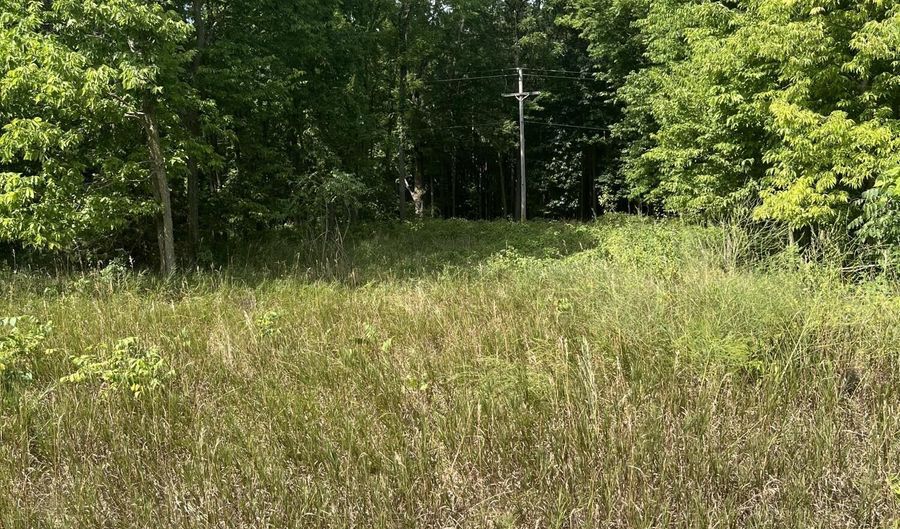 V/L 108th Avenue, Allegan, MI 49010 - 0 Beds, 0 Bath