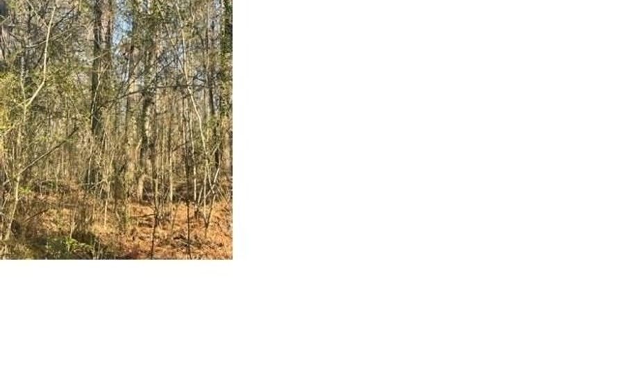 AEPEAN WAY lot 13, Alpine, AL 35014 - 0 Beds, 0 Bath