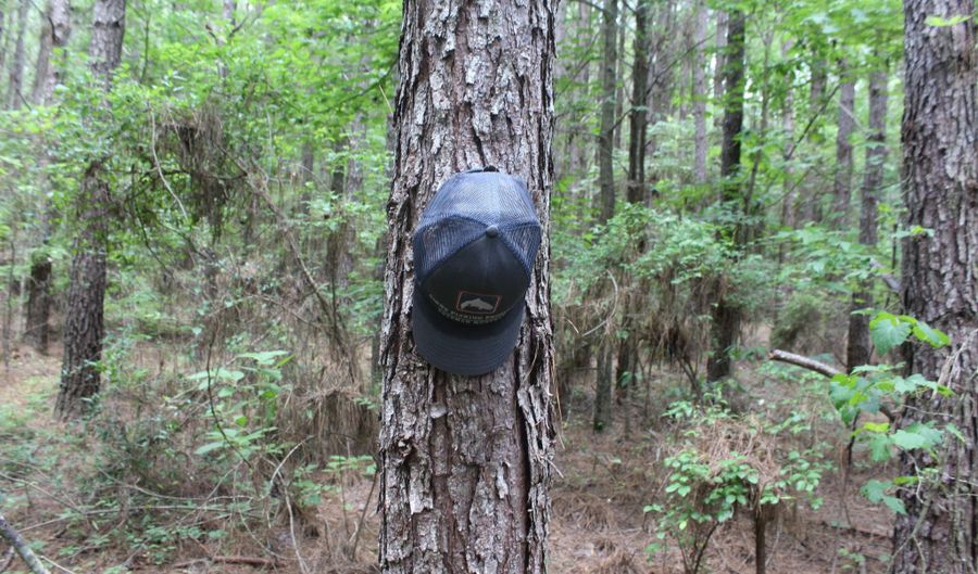 Hwy 550, Brookhaven, MS 39601 - 0 Beds, 0 Bath