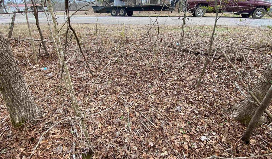 SWEATT ROAD lot Tract C - 29+/- Acres, Ashville, AL 35953 - 0 Beds, 0 Bath