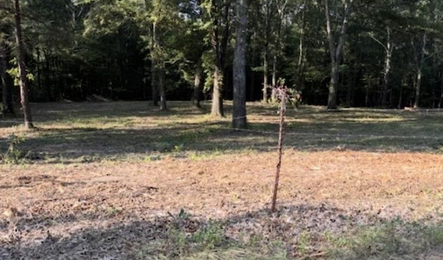 Tract C 1-2 MORNINGSTAR CIRCLE Circle, Benton, AR 72015 - 0 Beds, 0 Bath