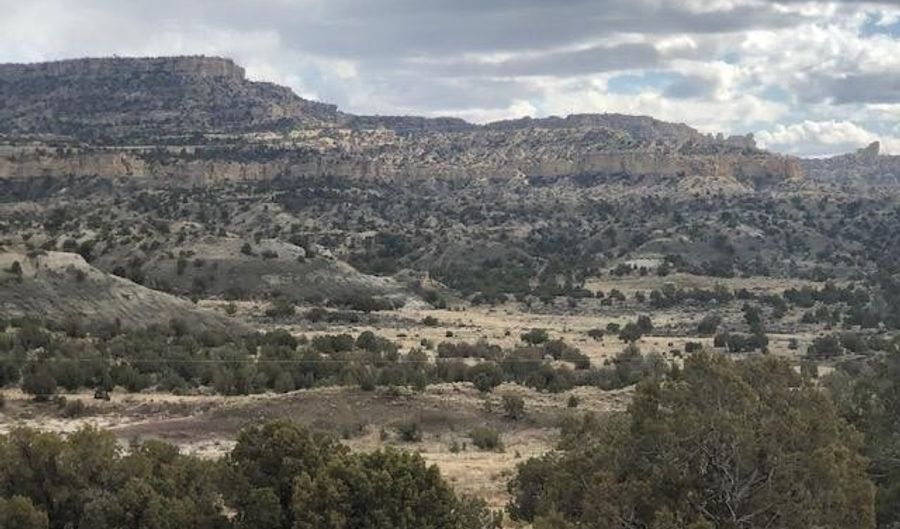 Xx ROAD 4990, Bloomfield, NM 87413 - 0 Beds, 0 Bath