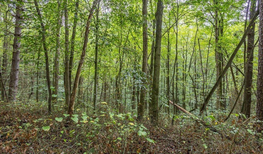 3 Ac Chestnut Flats Rd, Andrews, NC 28901 - 0 Beds, 0 Bath