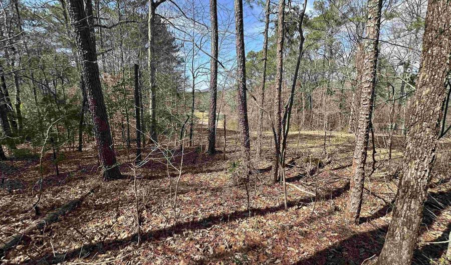 Lot 0 Dearmanville Road, Anniston, AL 36207 - 0 Beds, 0 Bath