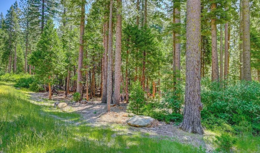 11 Timber Trail Ct, Arnold, CA 95223 - 0 Beds, 0 Bath