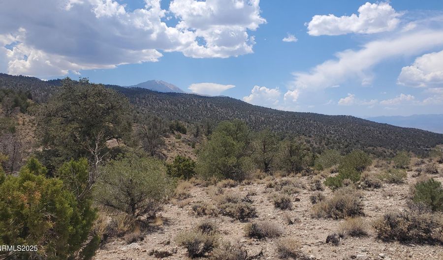 T5N R28E S5 Lucky Boy Pass Road, Hawthorne, NV 89415 - 0 Beds, 0 Bath