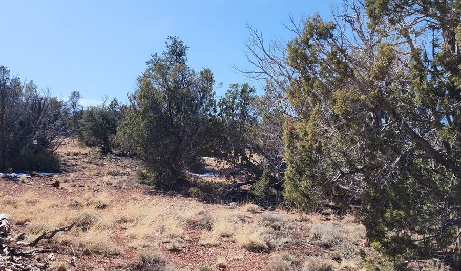 261 Juniperwood Rnch, Ash Fork, AZ 86320 - 0 Beds, 0 Bath