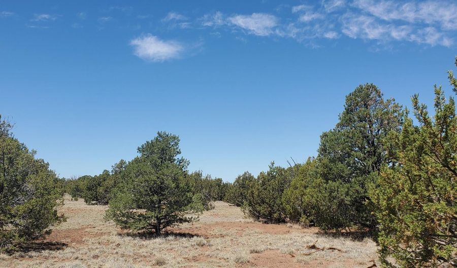 17 County Road 8077, Concho, AZ 85924 - 0 Beds, 0 Bath