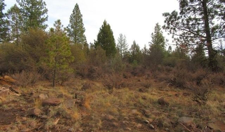 Polar Bear Lane lot 4, Bonanza, OR 97623 - 0 Beds, 0 Bath