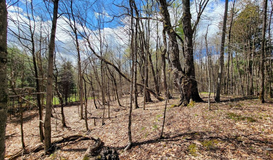 667 Cemetery St, Brookfield, VT 05036 - 0 Beds, 0 Bath
