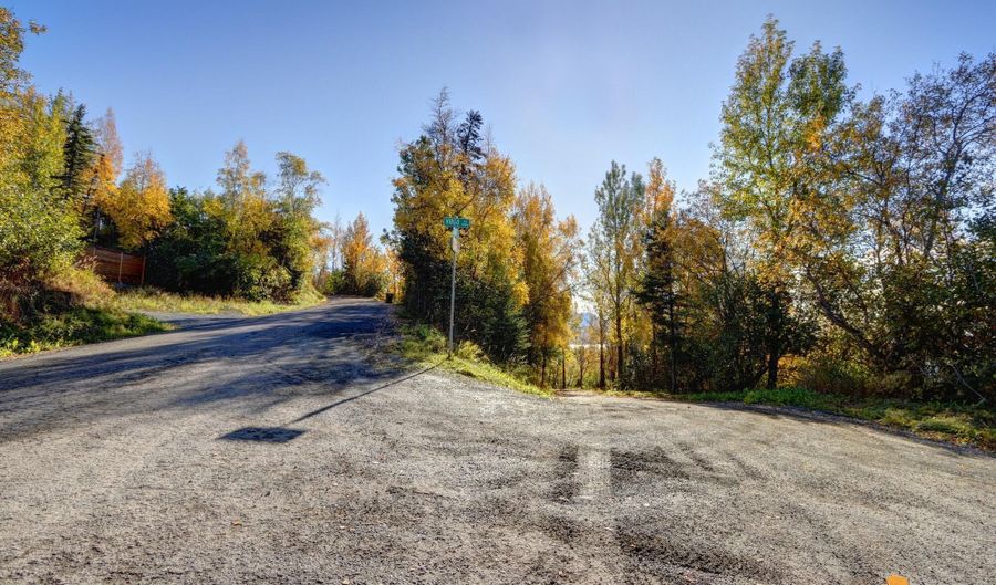 L9 Feodosia Drive, Anchorage, AK 99516 - 0 Beds, 0 Bath