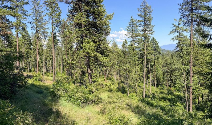 2008- TBD LOTS E-H SUMMIT VALLEY Rd, Addy, WA 99101 - 0 Beds, 0 Bath