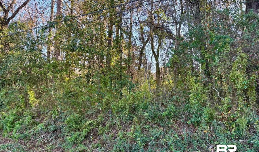 Brady Road, Bay Minette, AL 36507 - 0 Beds, 0 Bath