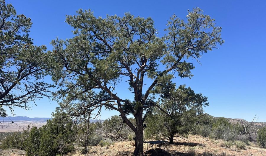 295 Old Deputy Shortline, Ash Fork, AZ 86320 - 0 Beds, 0 Bath