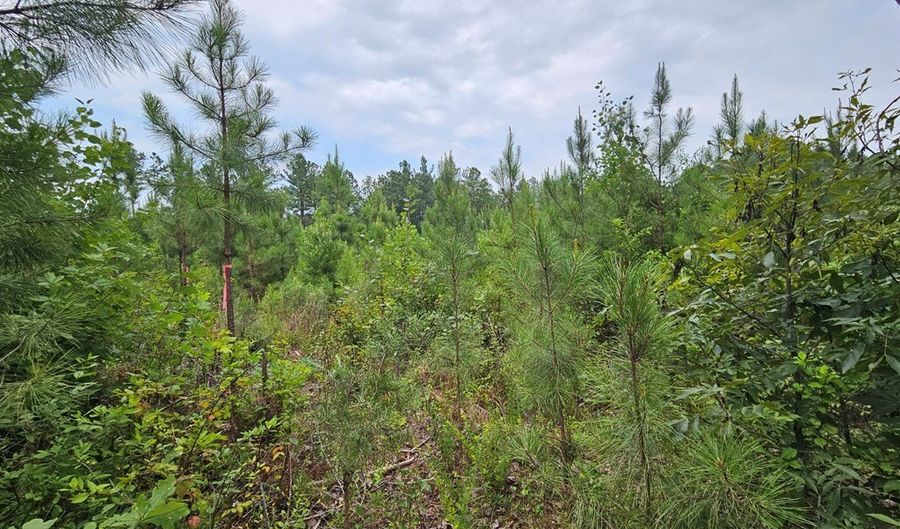 671 Penlan Rd Lot 2, Arvonia, VA 23004 - 0 Beds, 0 Bath