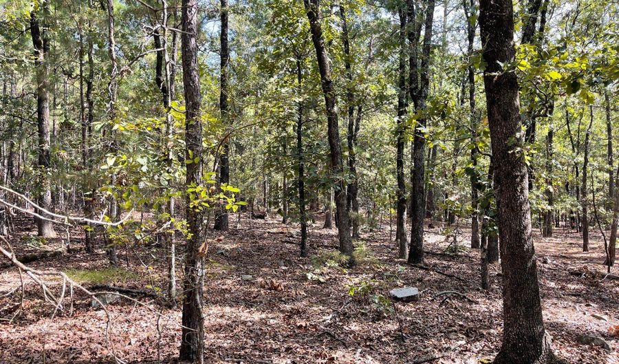 Highway 2 lot 43, Antlers, OK 74523 - 0 Beds, 0 Bath