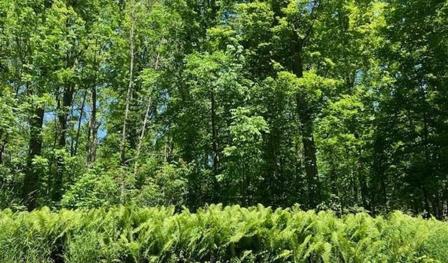 TBD Maple Isle Court Unit 32, 33 & 34, Alanson, MI 49706 - 0 Beds, 0 Bath