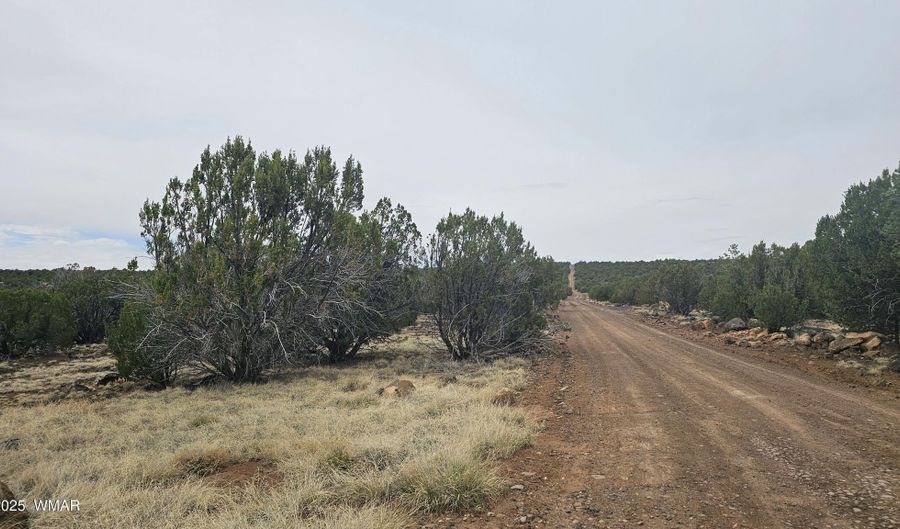 Tbd CR 8065, Concho, AZ 85924 - 0 Beds, 0 Bath