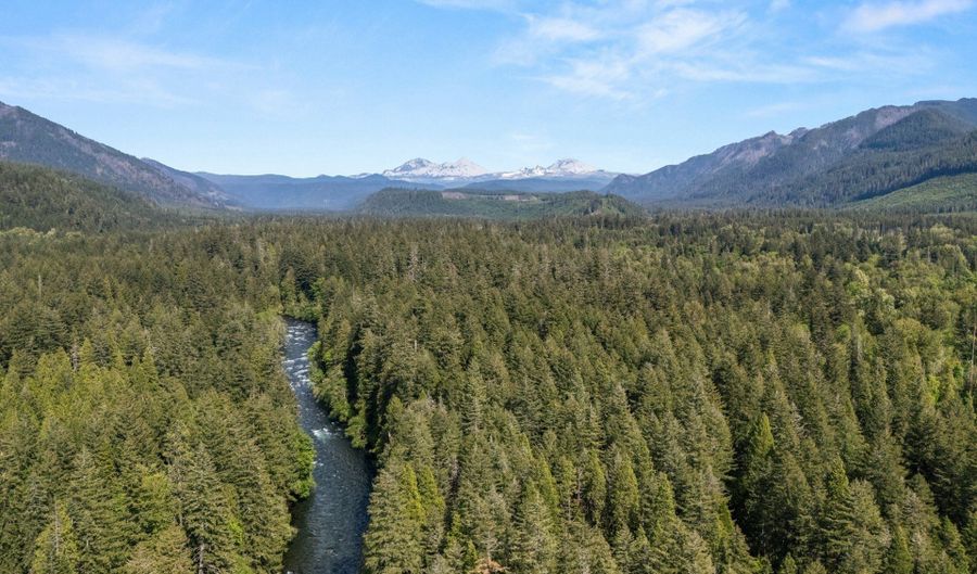 55482 DELTA Rd, Blue River, OR 97413 - 4 Beds, 4 Bath