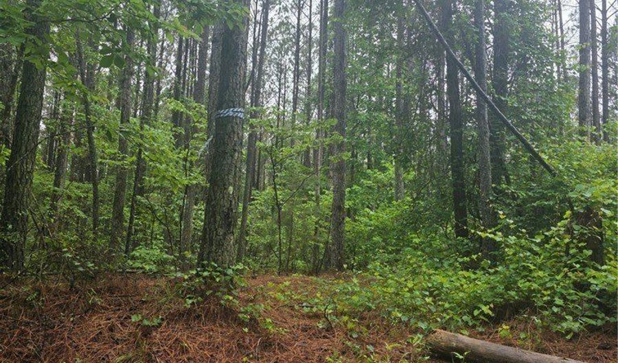 Jim Allred Road, Bankston, AL 35542 - 0 Beds, 0 Bath