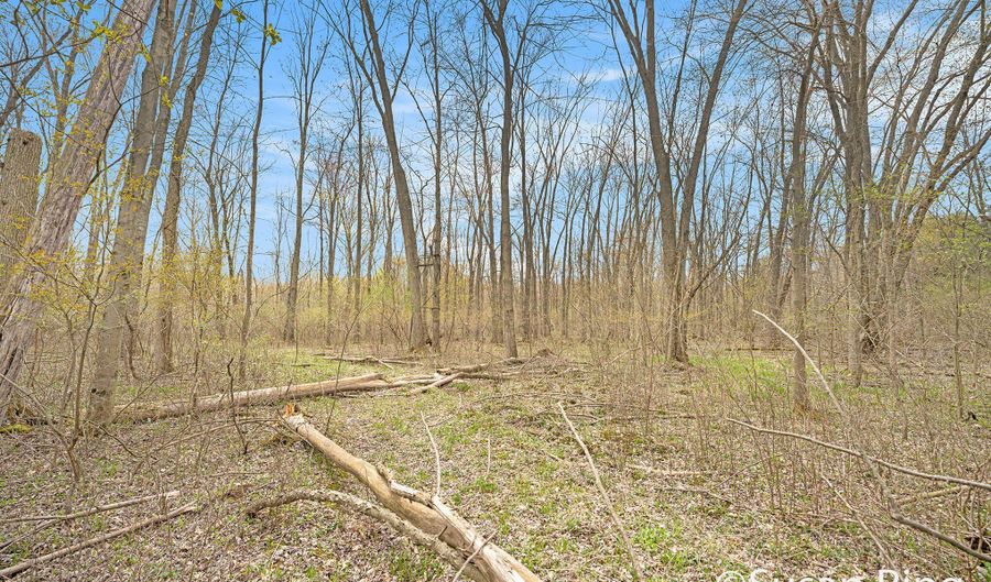 V/L Watts Road, Allegan, MI 49010 - 0 Beds, 0 Bath