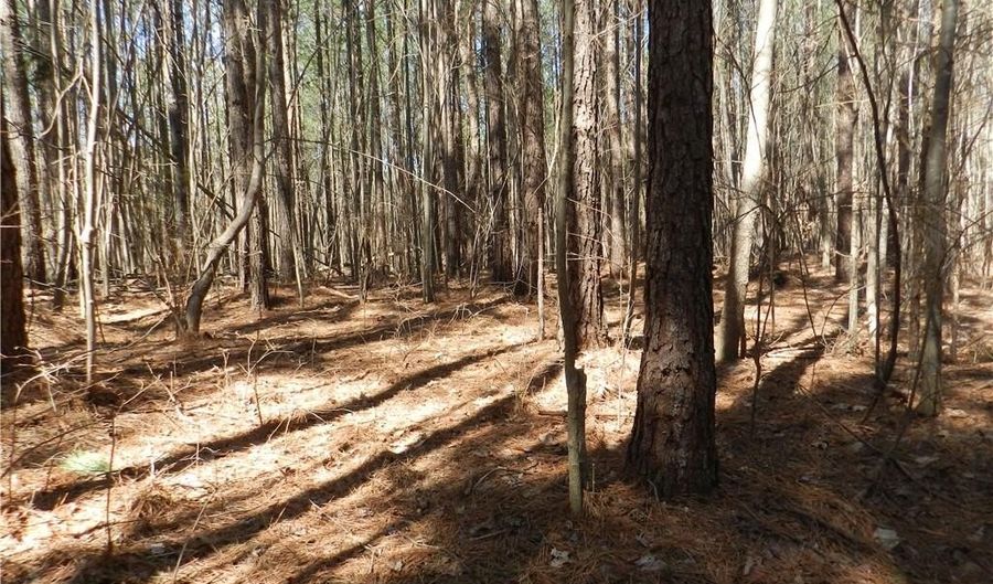 Tbd Oakland Avenue, Asheboro, NC 27205 - 0 Beds, 0 Bath