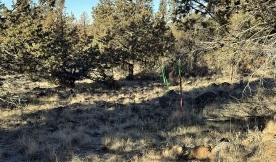 Canvasback Drive, Bonanza, OR 97623 - 0 Beds, 0 Bath