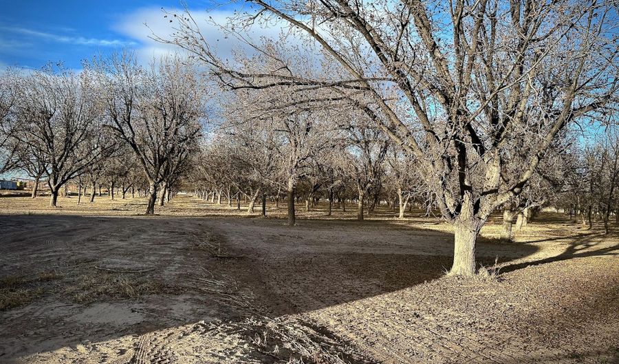 Highway 259, Anthony, NM 88021 - 0 Beds, 0 Bath