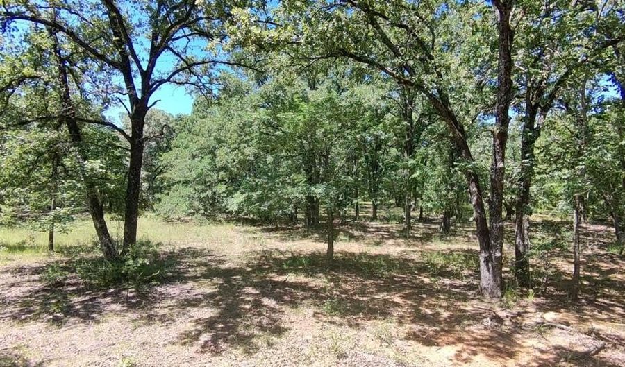Lot 19 Saddle Creek Ct, Alba, TX 75410 - 0 Beds, 0 Bath