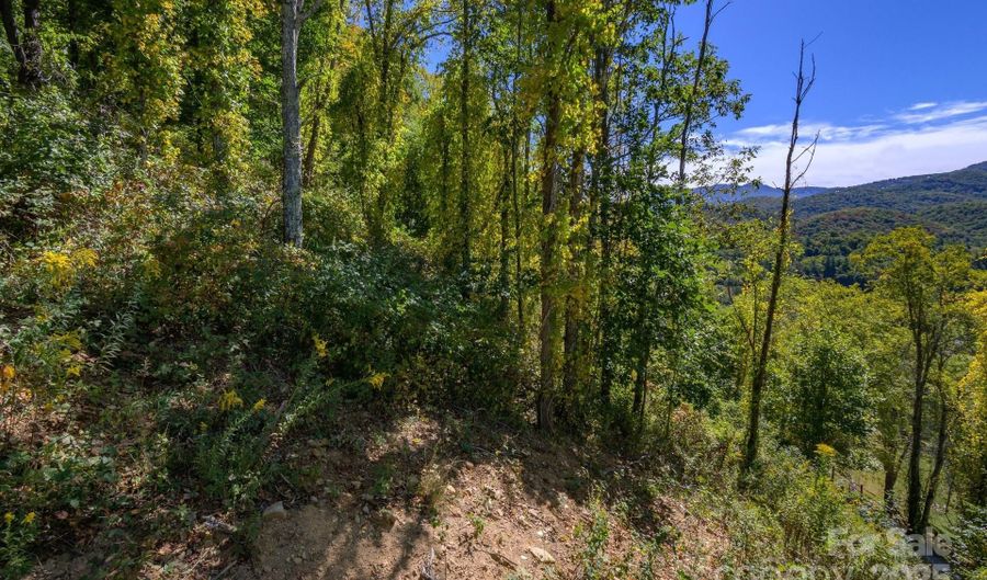 Silver Fox Lane lot 27, Banner Elk, NC 28604 - 0 Beds, 0 Bath