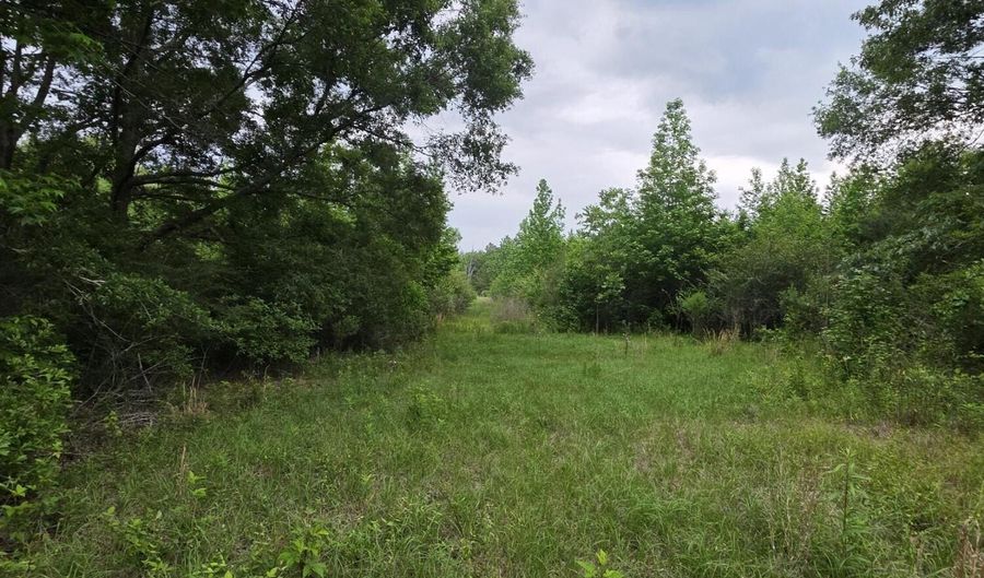 1542 Wellman Dr, Brookhaven, MS 39601 - 0 Beds, 0 Bath