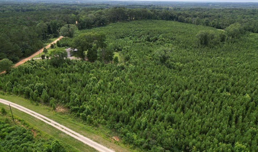 0 County Road 204, Ariton, AL 36311 - 0 Beds, 0 Bath