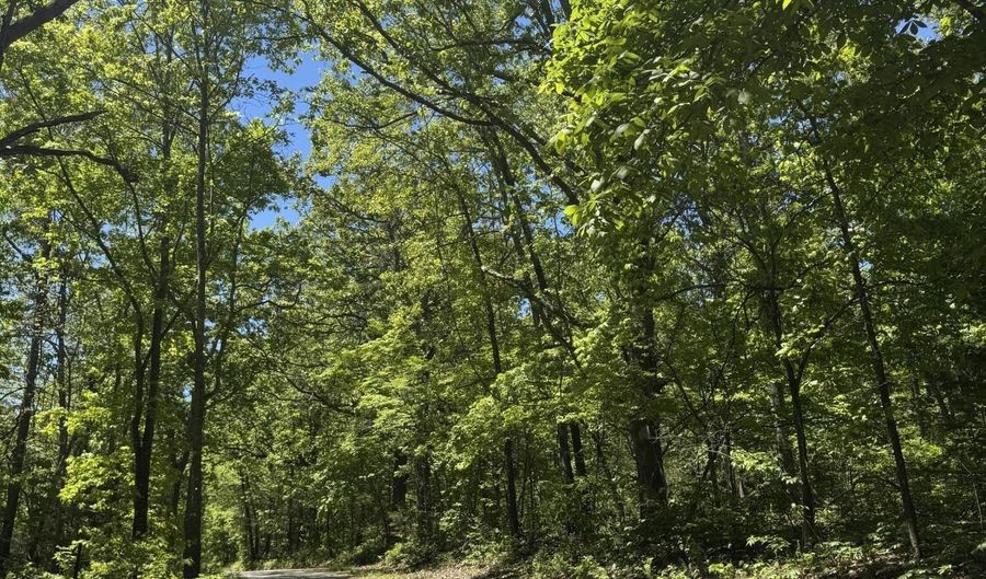 6739 Co Rd W 76-430, Ava, MO 65608 - 0 Beds, 0 Bath