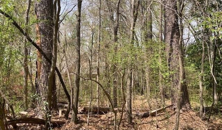 8 Lots Maplewood Ln Ext, Alexander City, AL 35010 - 0 Beds, 0 Bath