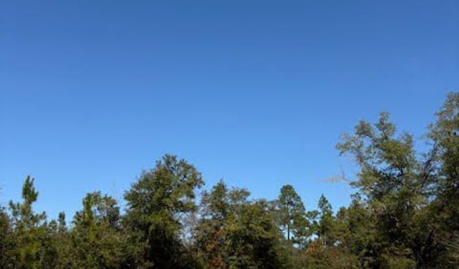 Southern Boulevard lot 27, Alford, FL 32420 - 0 Beds, 0 Bath