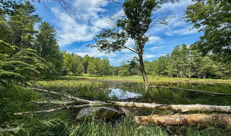 218-179 1- Bonny Rigg Hill Rd Rd, Becket, MA 01223 - 0 Beds, 0 Bath