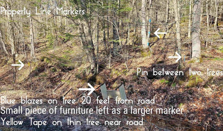 512 Woodbury Mountain Rd, Calais, VT 05648 - 0 Beds, 0 Bath