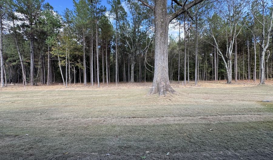 223 New Haven Ln, Brandon, MS 39042 - 4 Beds, 2 Bath