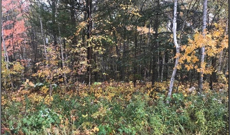 Lot 113 162nd Avenue, Apple River, WI 54810 - 0 Beds, 0 Bath