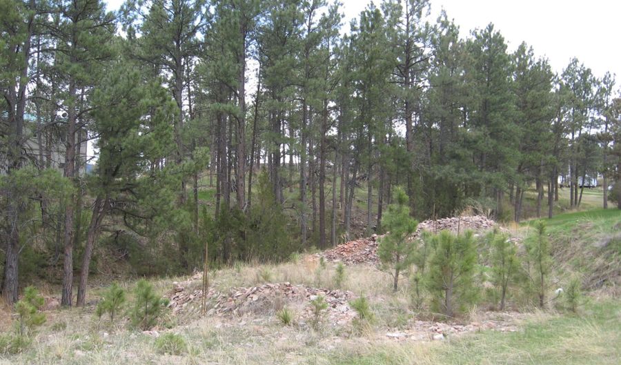 Clubview Dr Lot, Hot Springs, SD 57747 - 0 Beds, 0 Bath